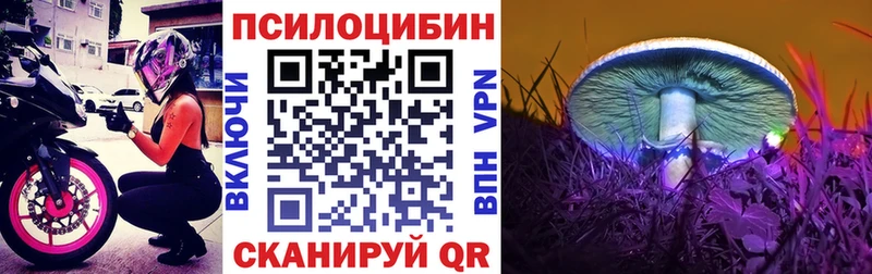 мега как войти  Нижний Тагил  Псилоцибиновые грибы Psilocybine cubensis  купить наркоту 