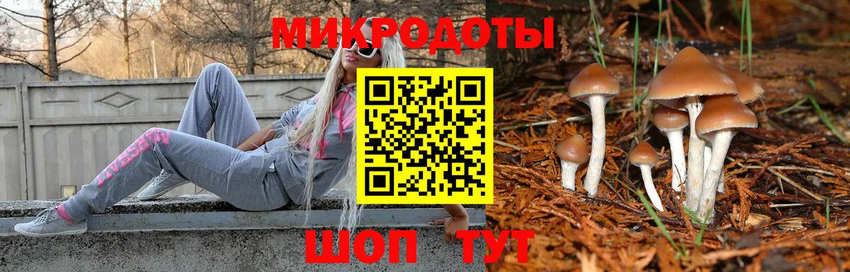 Нижний Тагил  Галлюциногенные грибы мицелий  Вход с VPN 